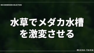 水草でメダカ水槽を激変させる！失敗しない選び方と徹底比較