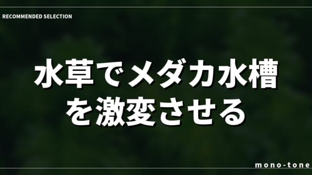 水草でメダカ水槽を激変させる！失敗しない選び方と徹底比較