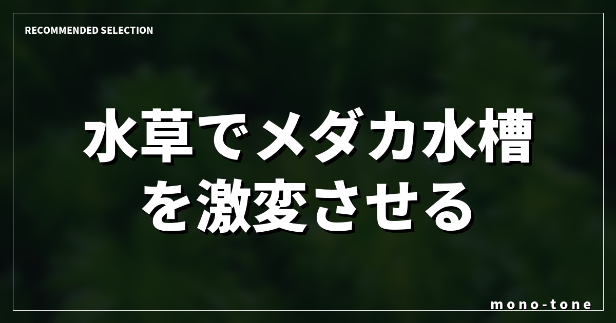 水草でメダカ水槽を激変させる!失敗しない選び方と徹底比較 水草でメダカ水槽を激変させる!失敗しない選び方と徹底比較